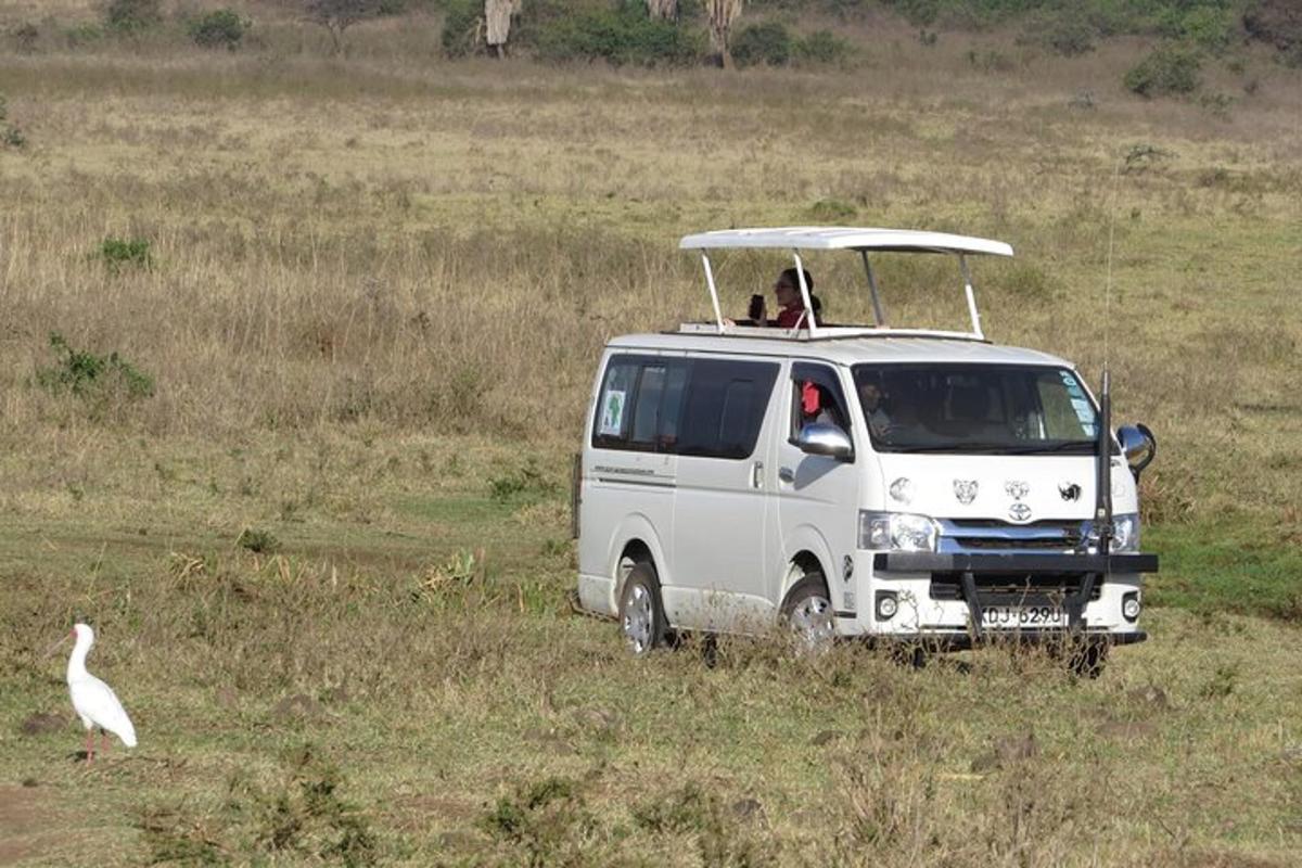 un furgone bianco parcheggiato in un campo con un uccello bianco