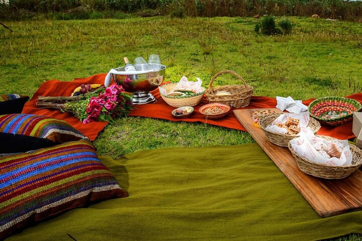 un picnic cu coșuri cu mâncare pe o pătură