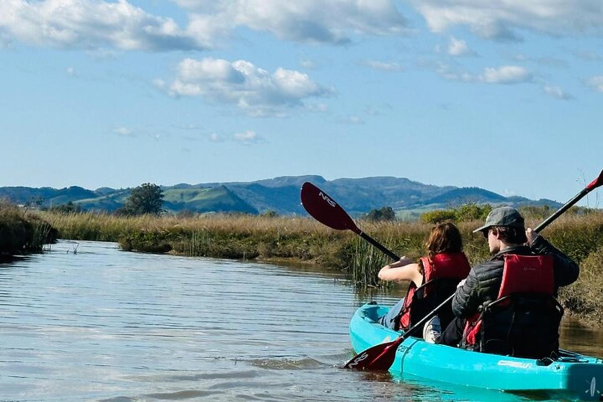 a couple of people in a kayak on a river