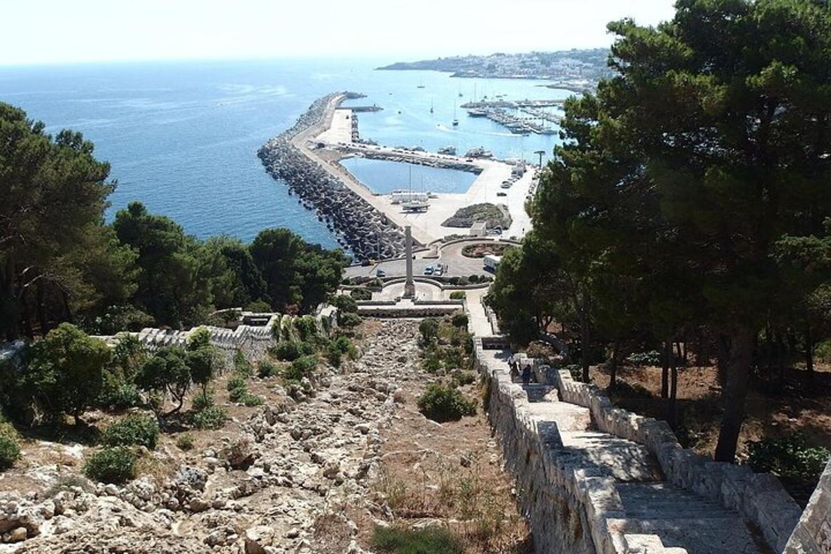 μια εναέρια άποψη μιας παραλίας και του ωκεανού