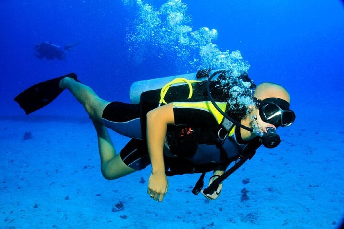 o persoană care înoată în apa oceanului