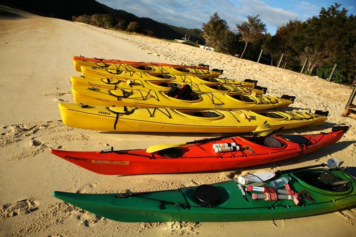 a group of kayaks lined up on a beach