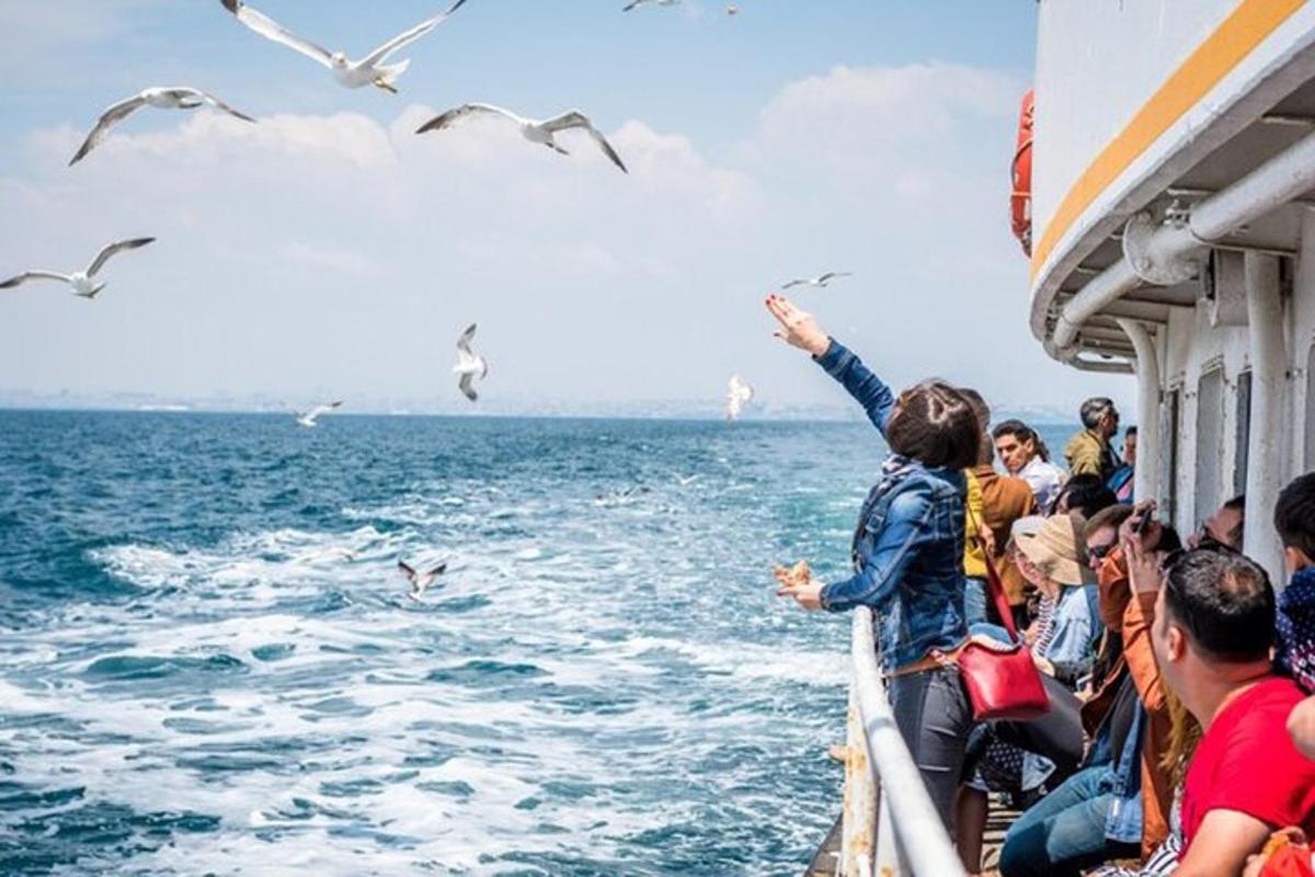 μια ομάδα ανθρώπων σε μια βάρκα που κοιτάζει πουλιά στο νερό