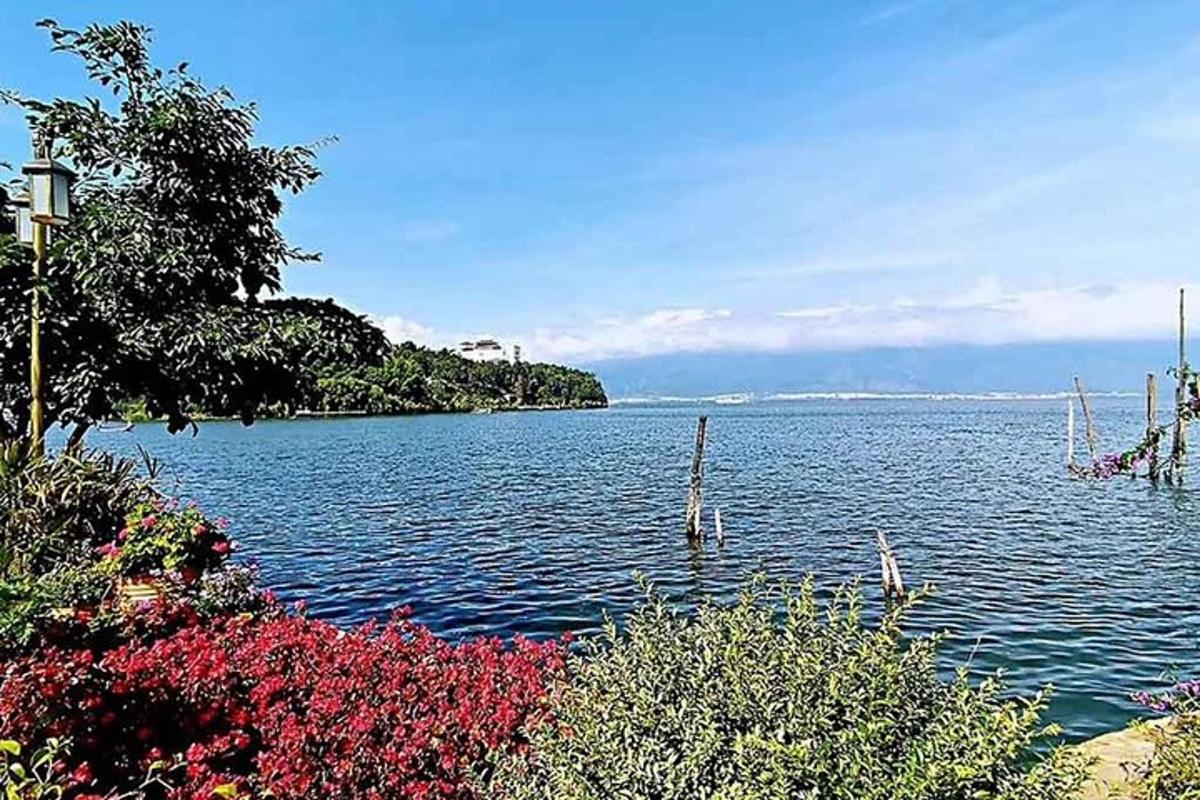 a view of a large body of water with flowers