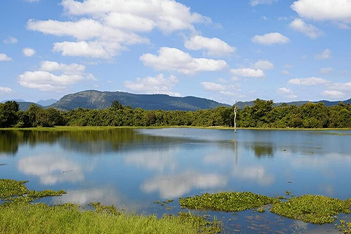 一大片水面，树木和云朵