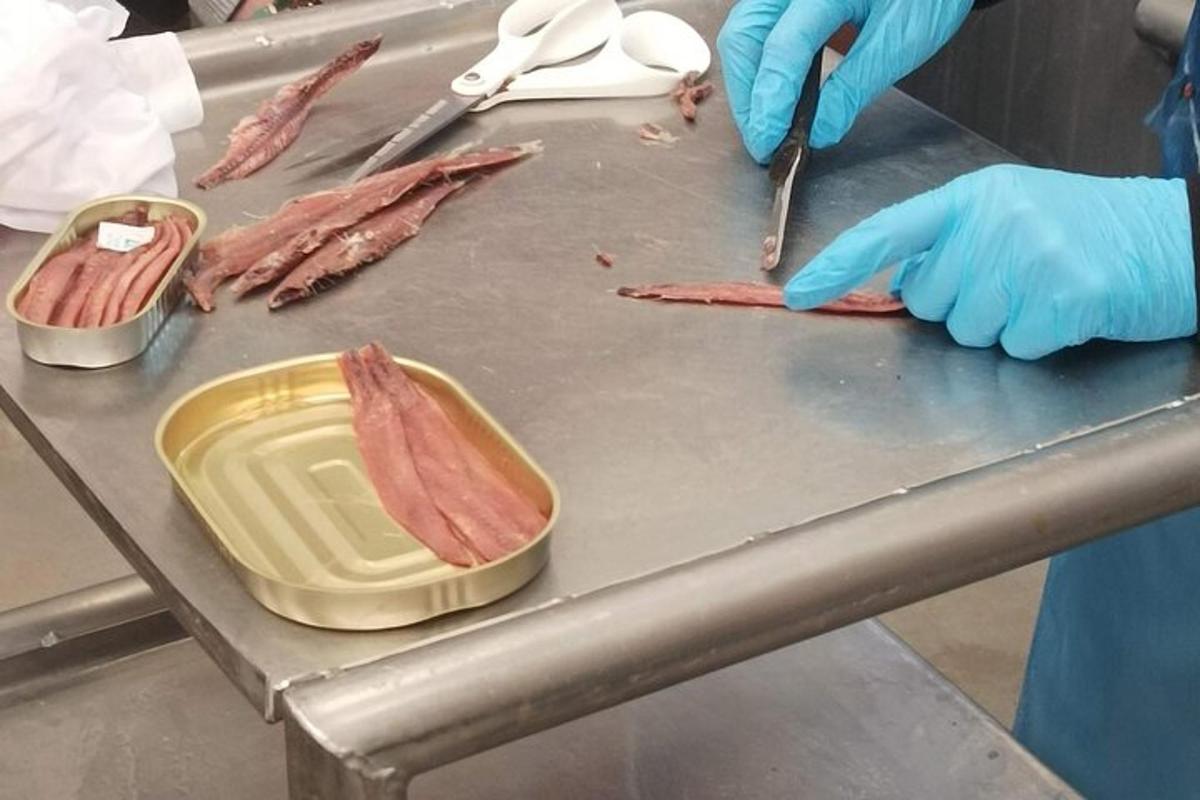 eine Person in blauen Handschuhen, die Fleisch auf einem Tisch schneidet
