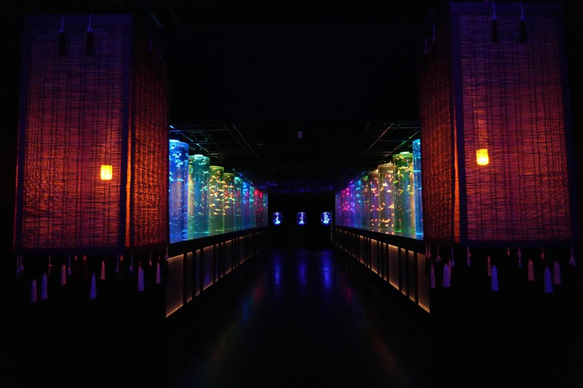 a dark hallway with colorful lights on the walls