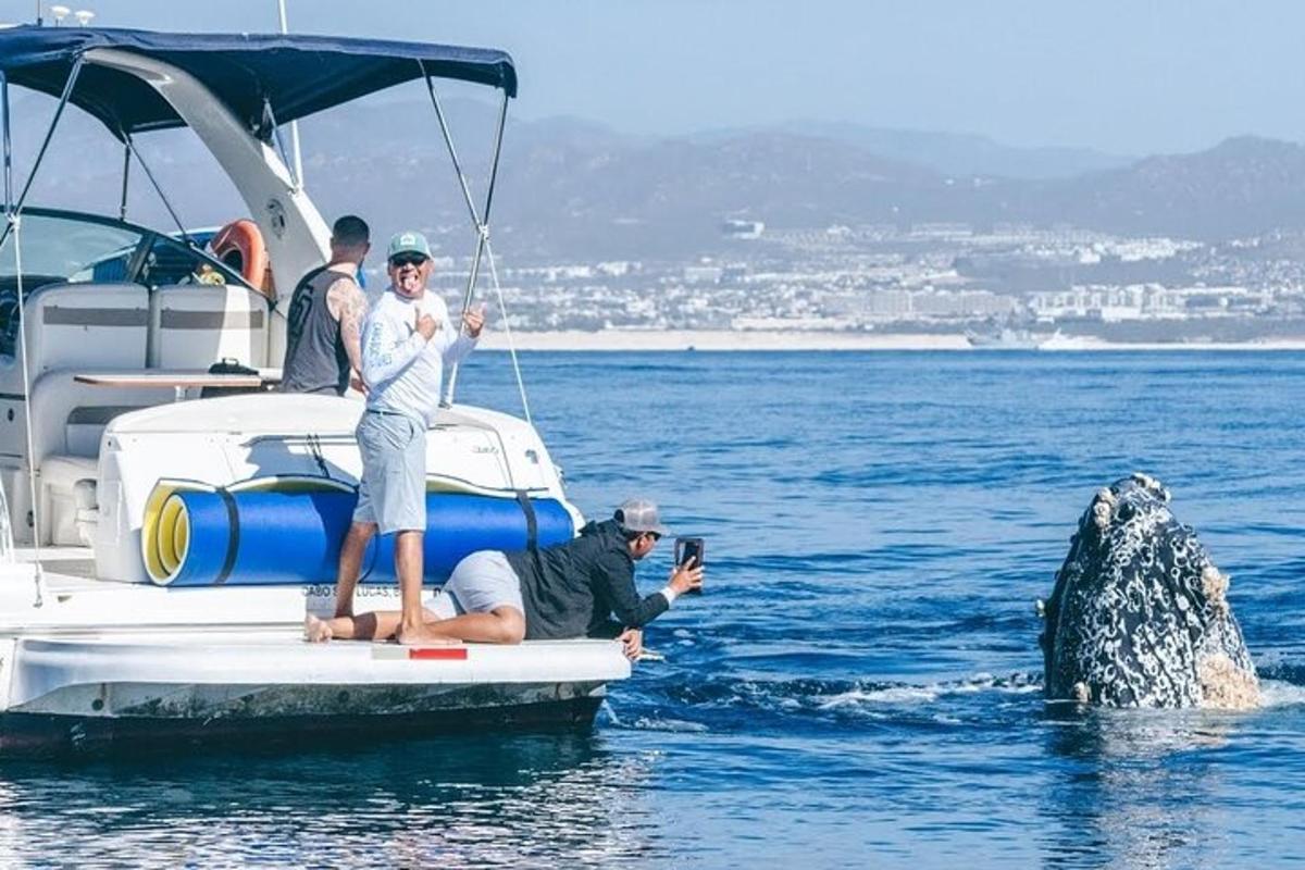 un gruppo di persone su una barca con una balena in acqua