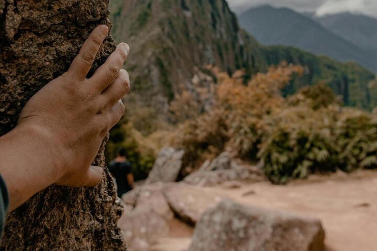 una persona che tiene la mano contro un albero