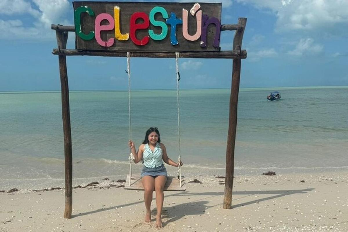 a woman sitting on a swing on the beach