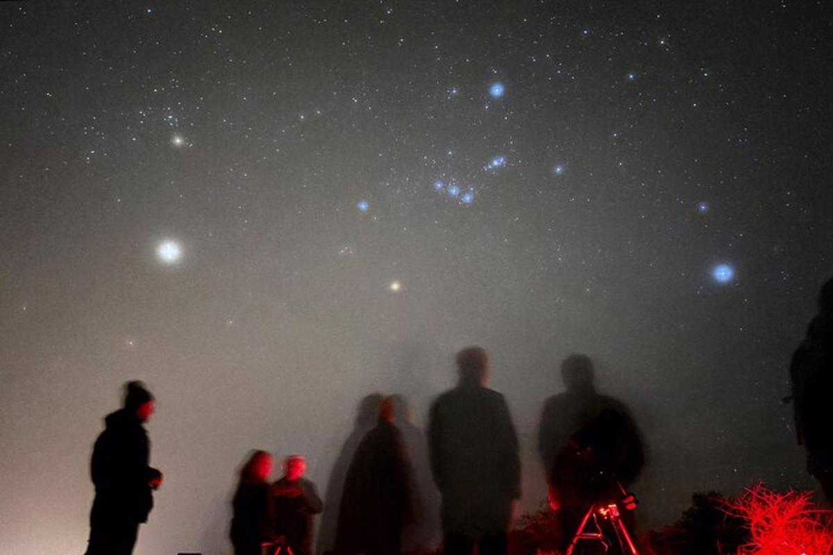 a group of people looking up at the stars