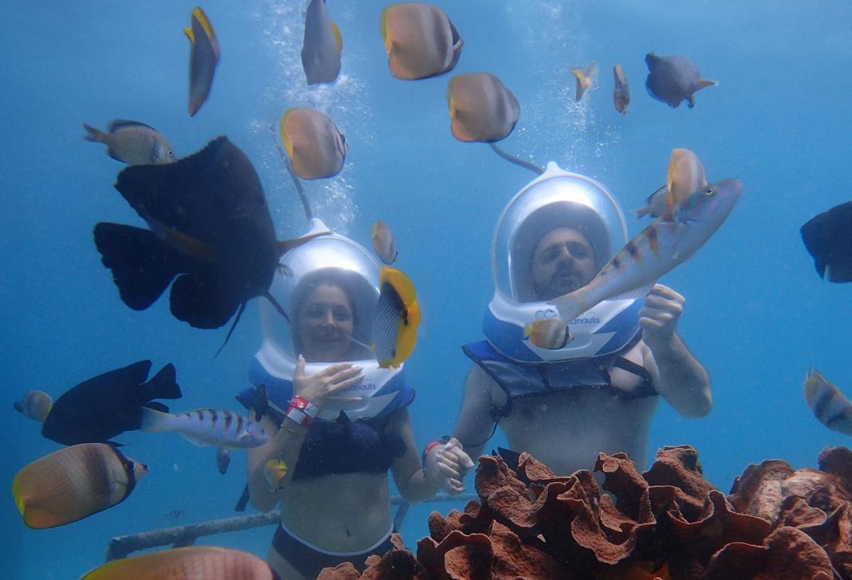 dos personas en el agua con peces