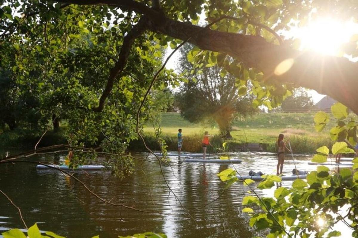 skupina lidí na paddleboardech ve vodě