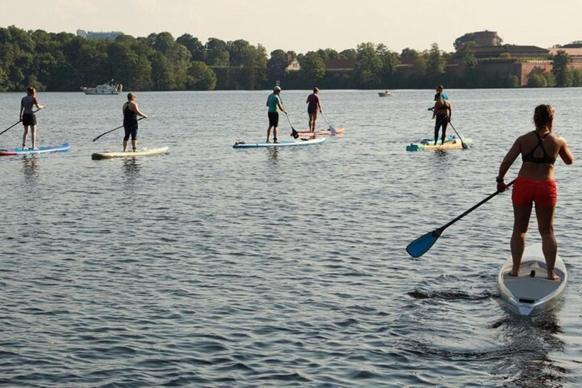 skupina lidí na paddleboardech na jezeře