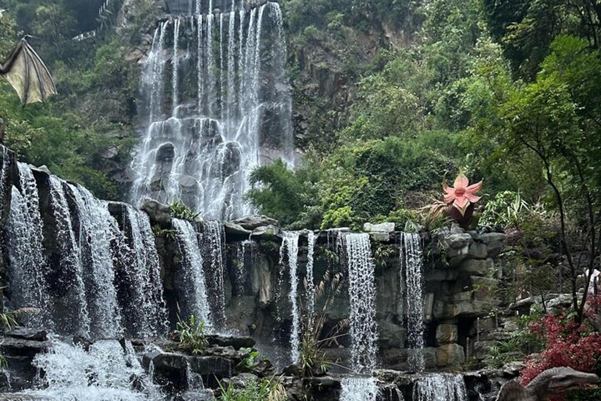 a waterfall in the middle of a forest