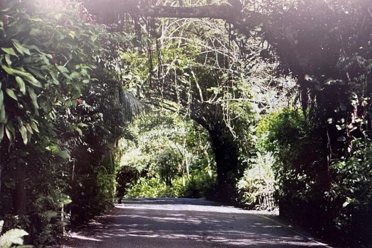jalan dengan gerbang di tengah