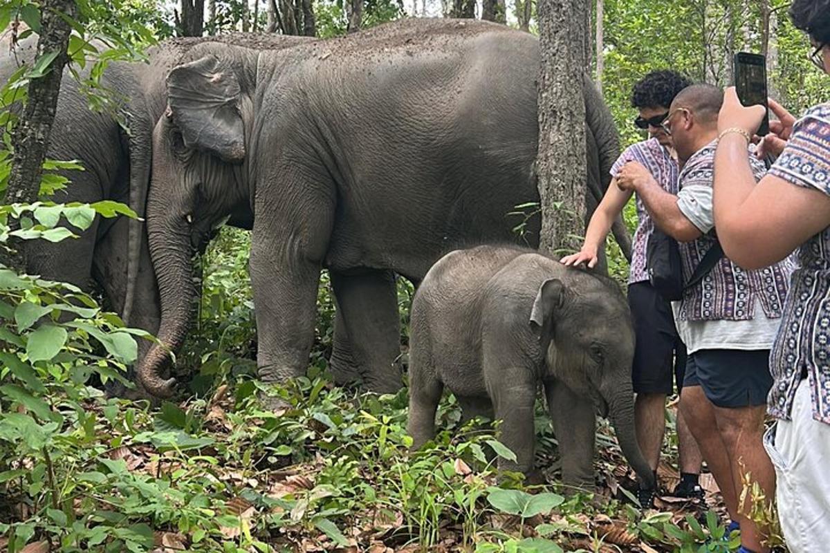 a group of people taking a picture of elephants