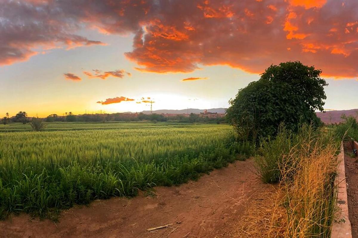 日落时分田野旁的土路