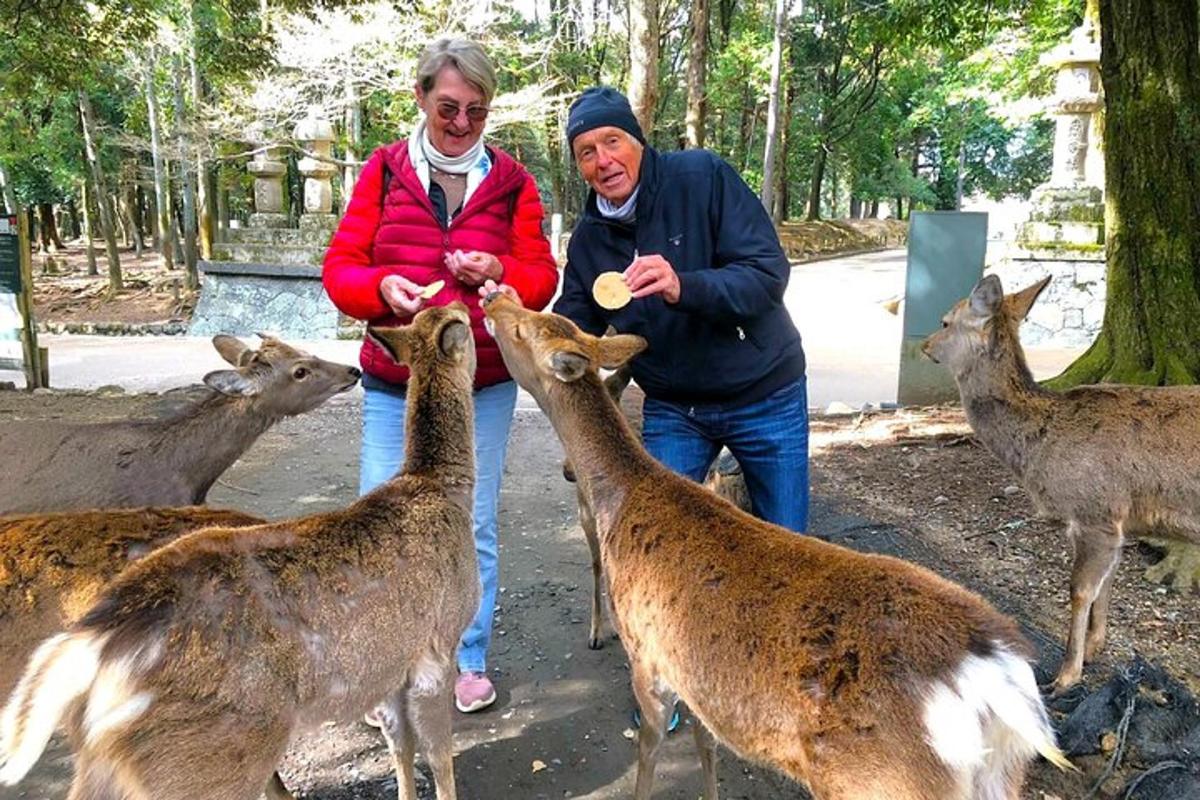 muž a žena krmí skupinu jelenů