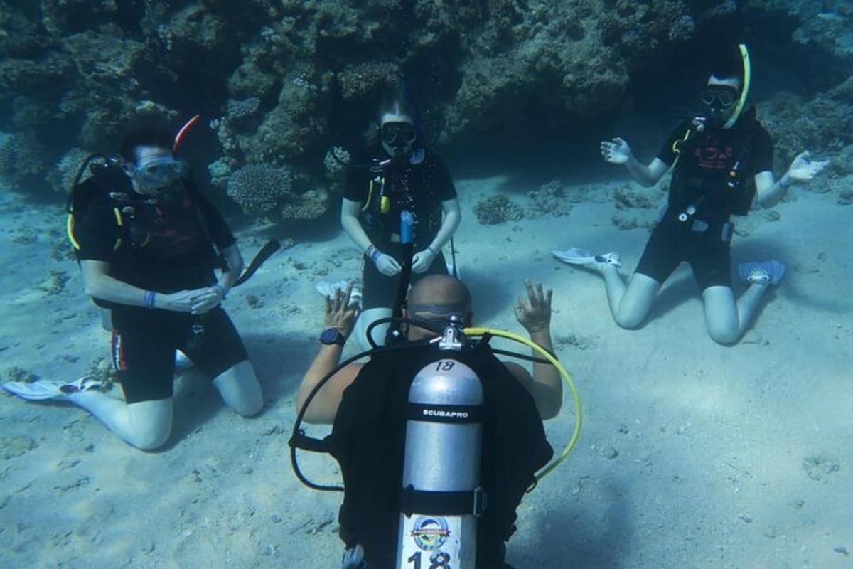 a group of people in the ocean on the sand