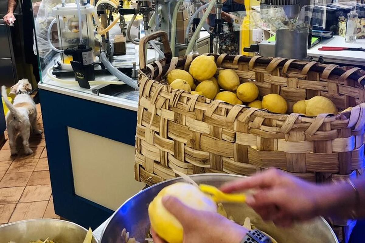una persona sta preparando un cesto di limoni in una cucina