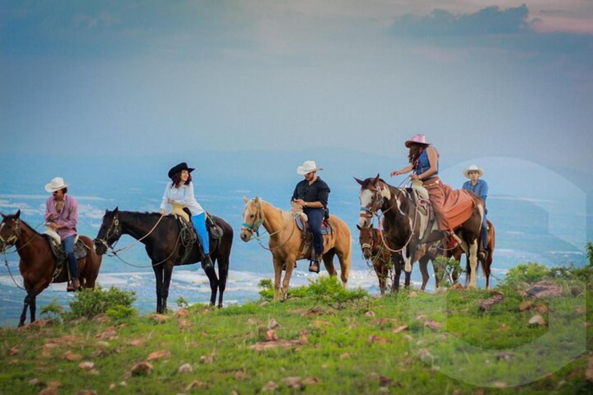a group of people riding horses on a hill