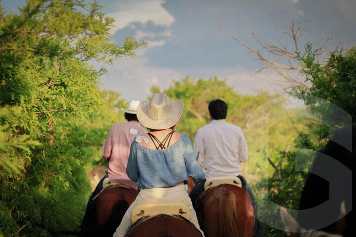 a group of three people riding horses down a road