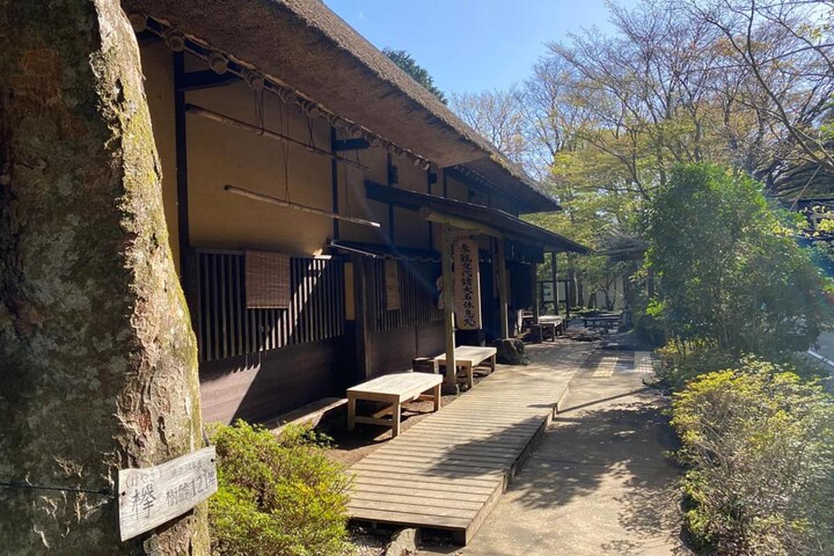 外面有长椅的建筑物