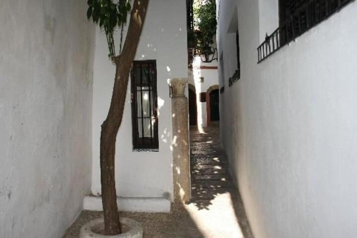 an alley with a tree and a building