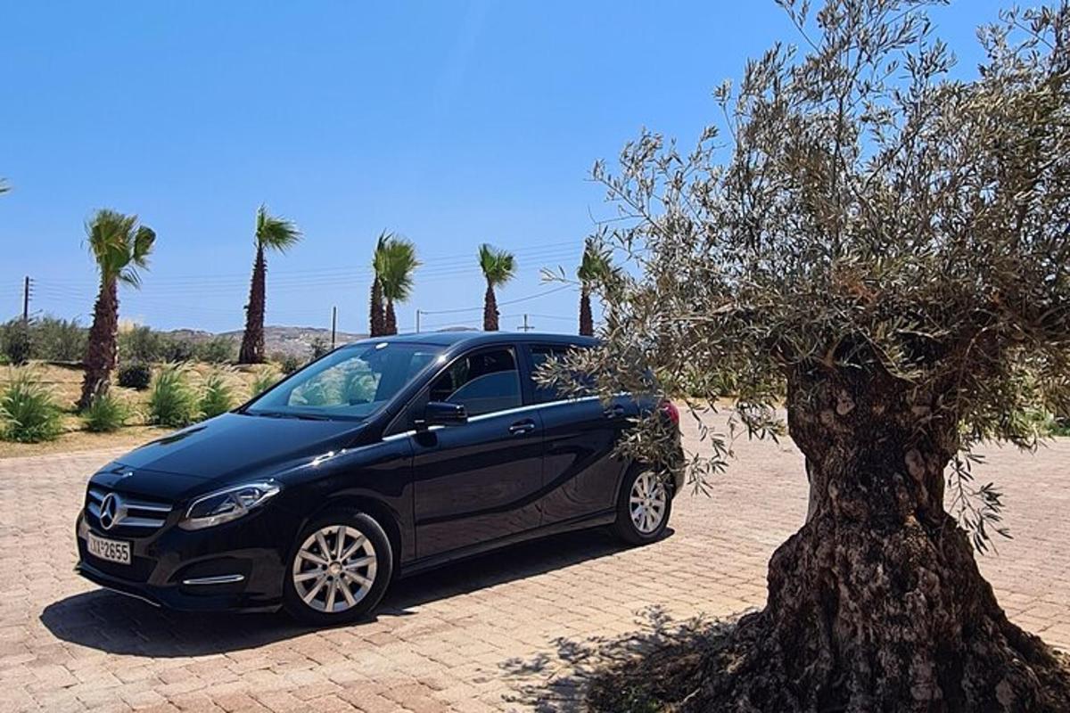 un coche negro aparcado junto a un árbol