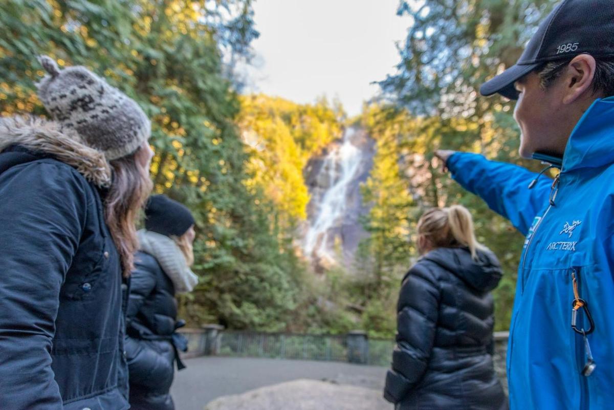 un gruppo di persone che guardano una cascata
