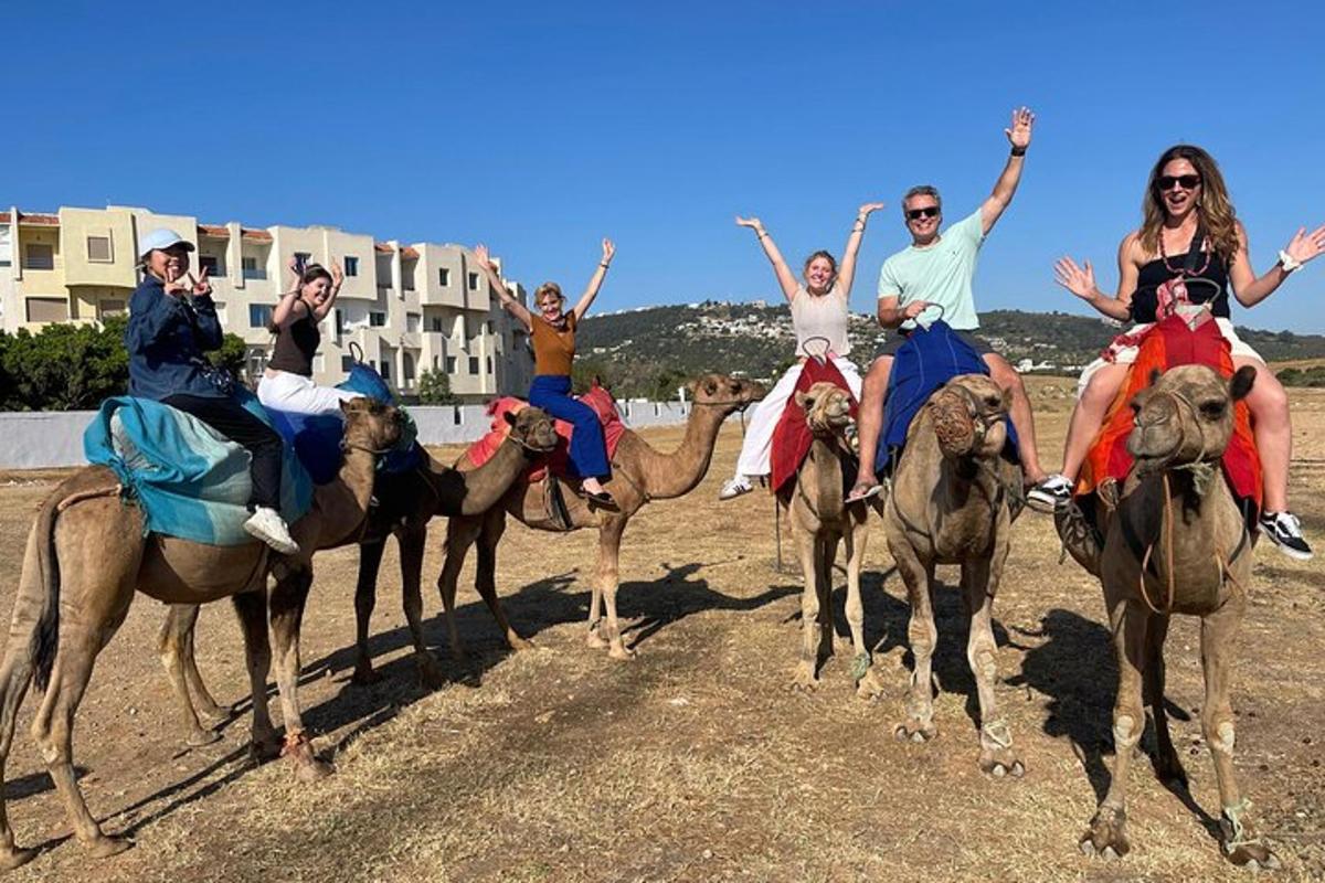 a group of people riding on the backs of camels