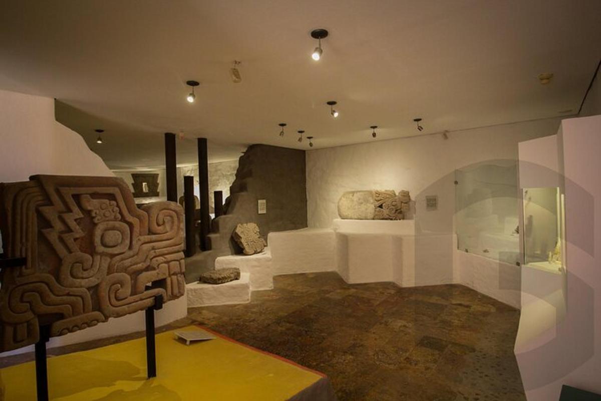 a room with a museum with rocks on display