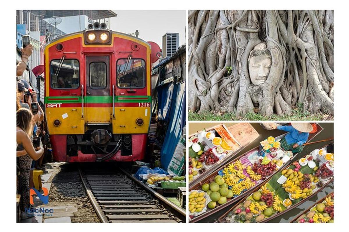 un collage di immagini di un albero e di un treno