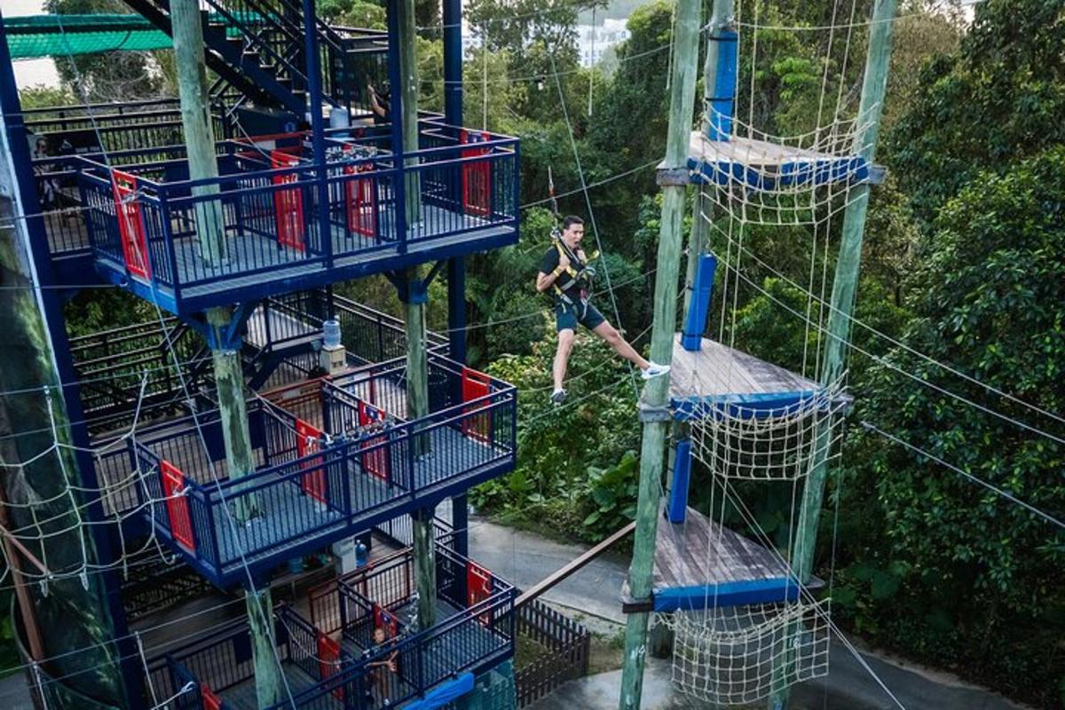 Muž leze po zip line v džungli