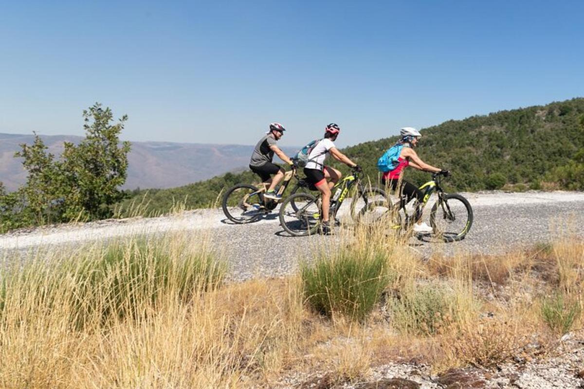 a group of people riding bikes on a road
