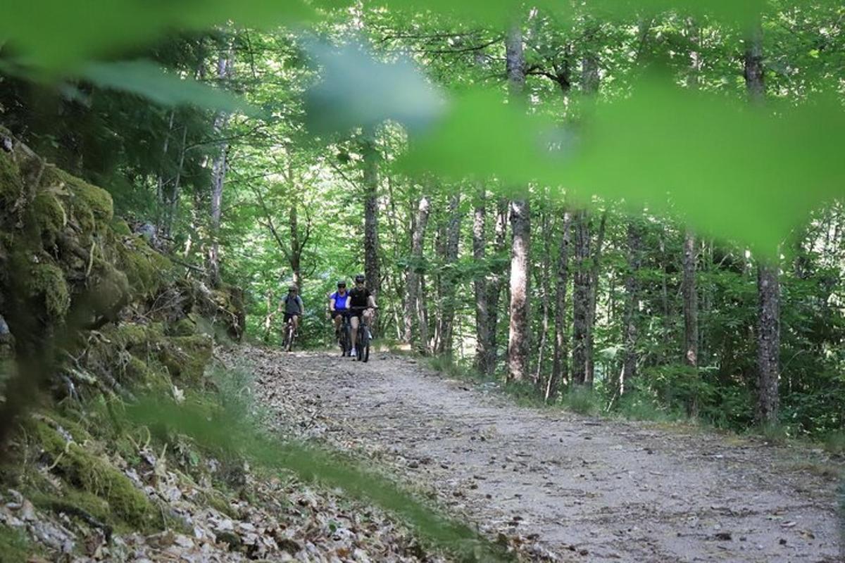 a group of people riding bikes down a dirt trail