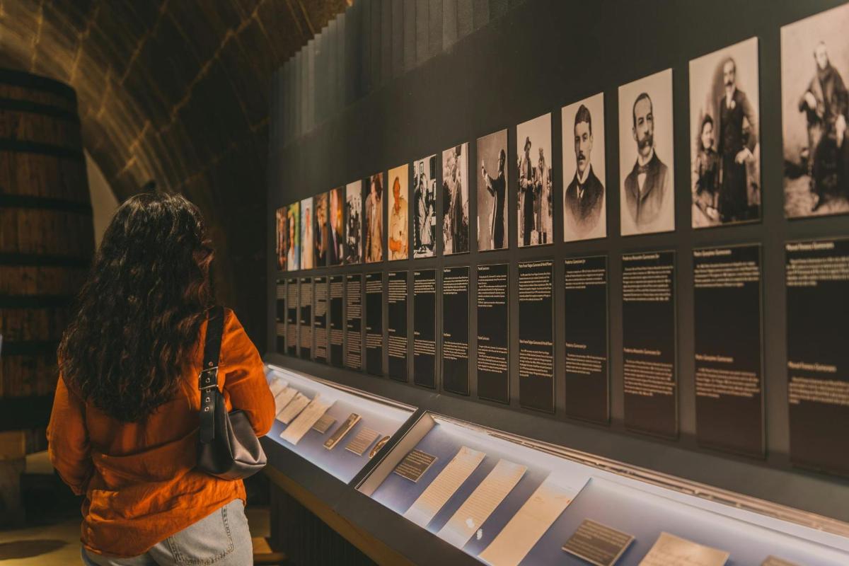 o femeie care privește o expoziție într-un muzeu