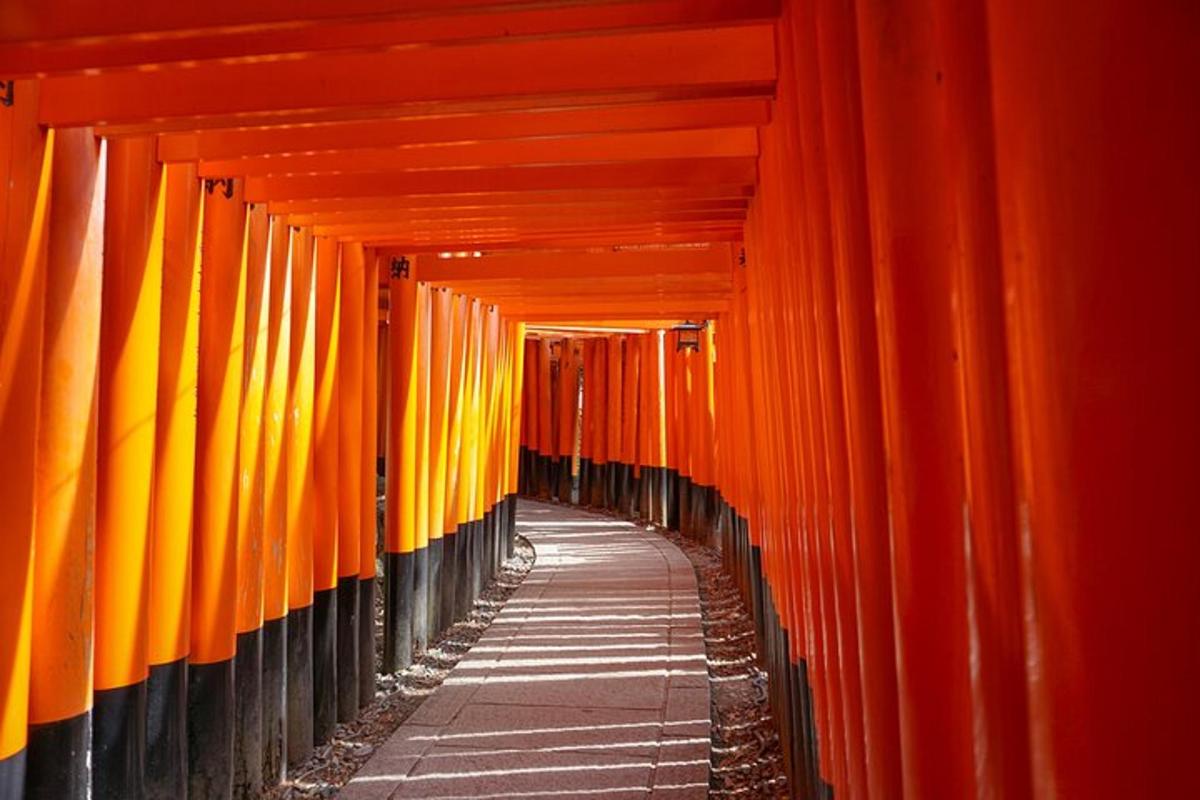 koridor pintu torii berwarna jingga di sebuah kuil