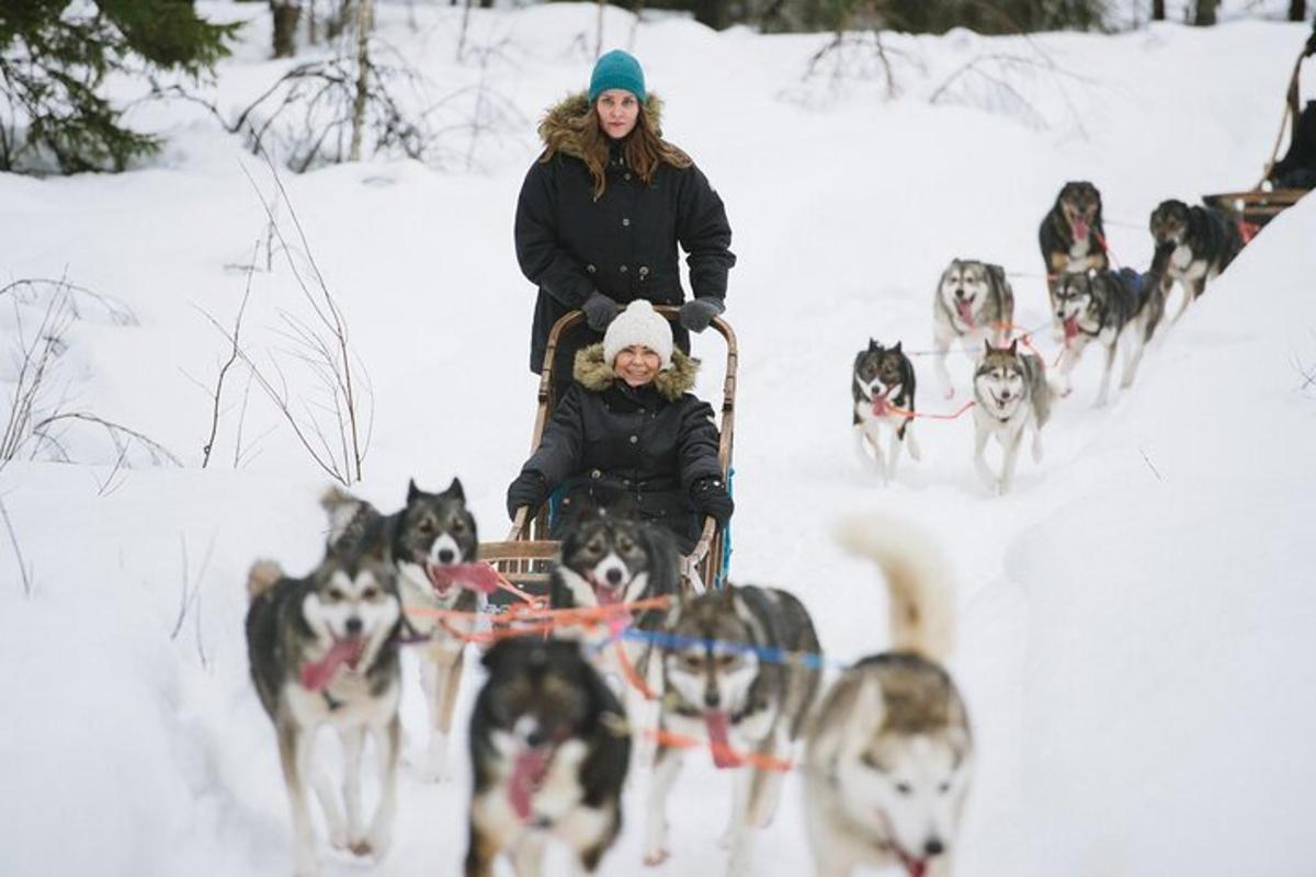 eine Gruppe von Hunden, die eine Person auf einem Schlitten ziehen
