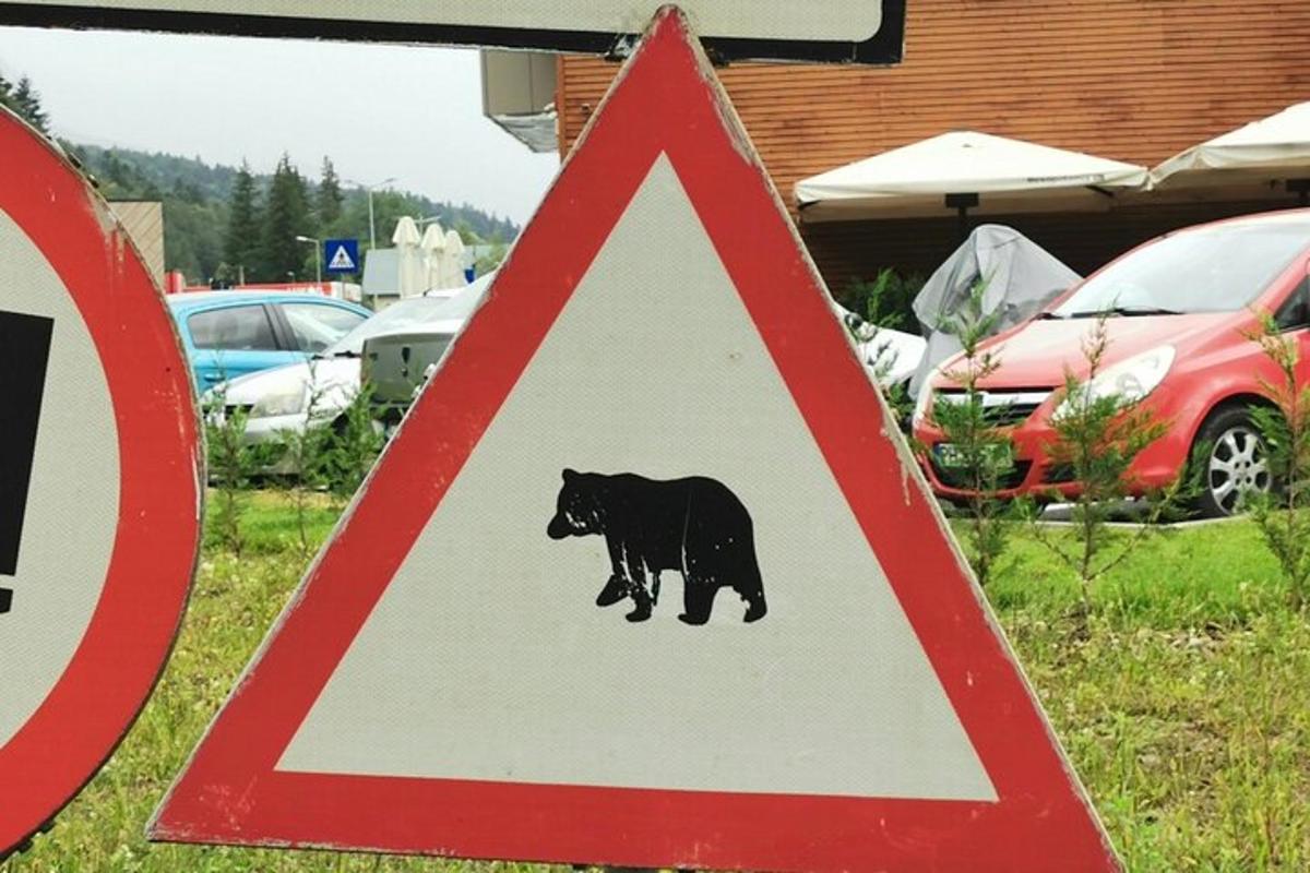 dopravní značka s černým medvědem