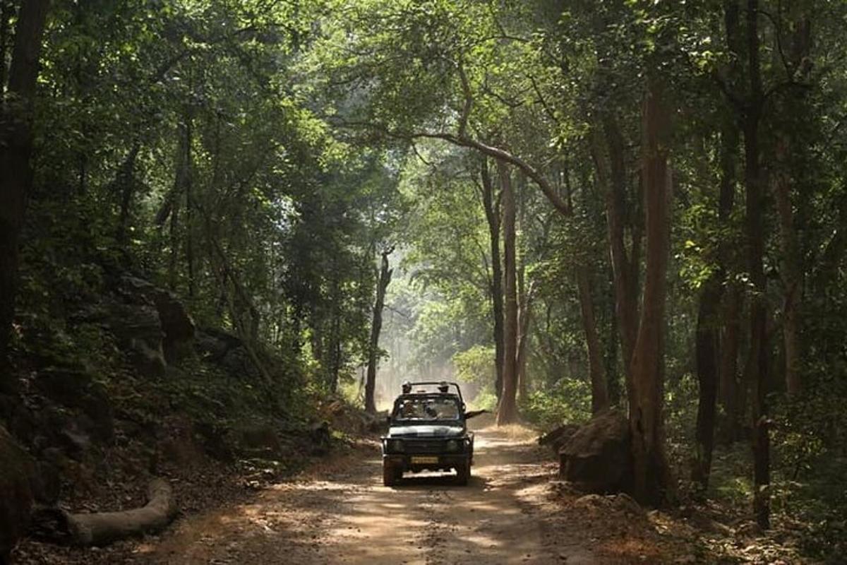 a truck driving down a dirt road in a forest