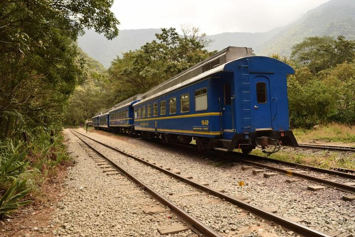 Un tren azul que viaja por las vías con árboles.