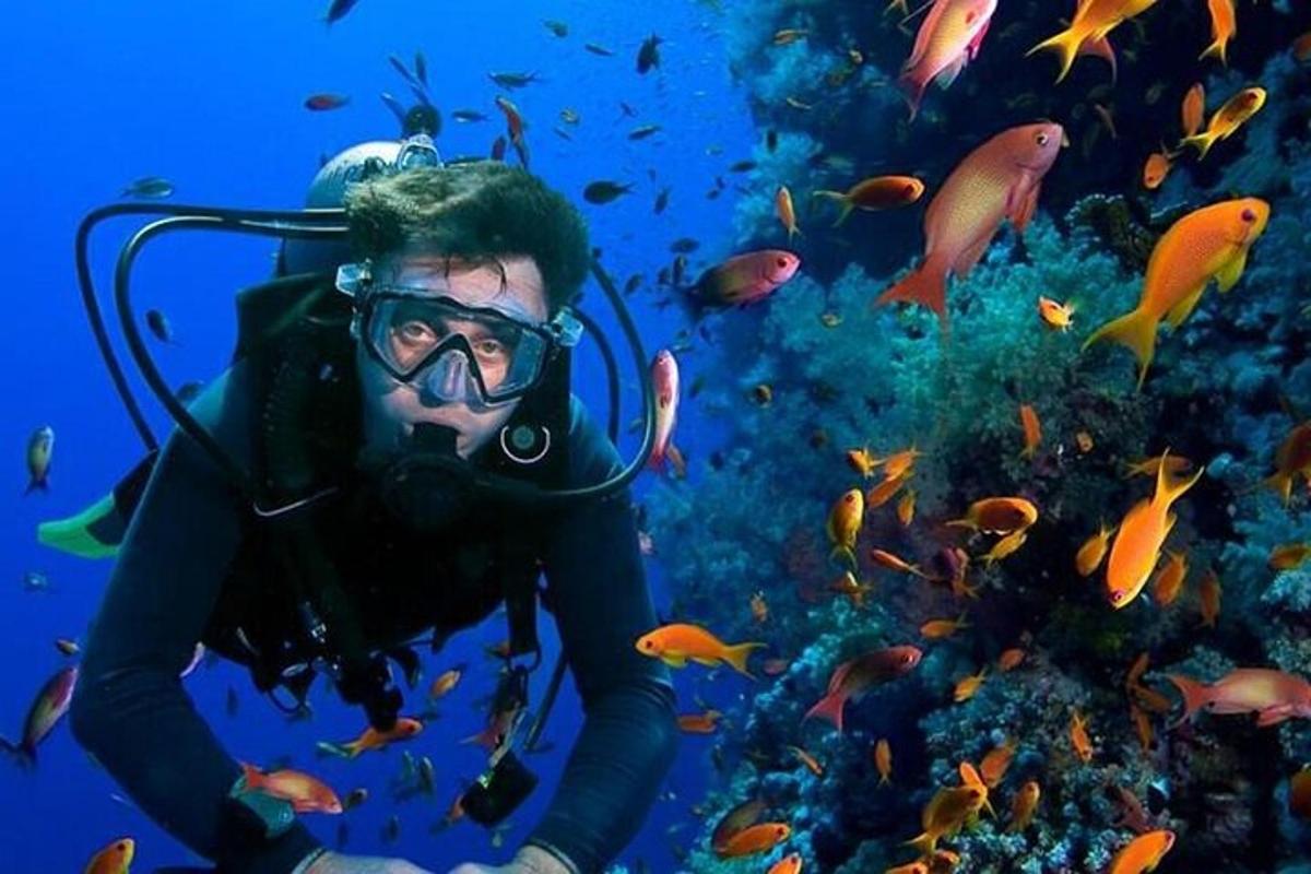 potapljač v oceanu z jato rib