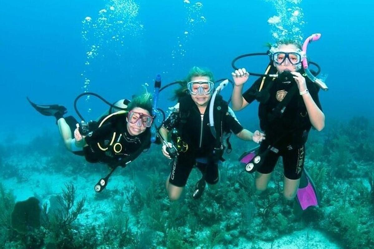 tři lidé se potápějí v oceánu