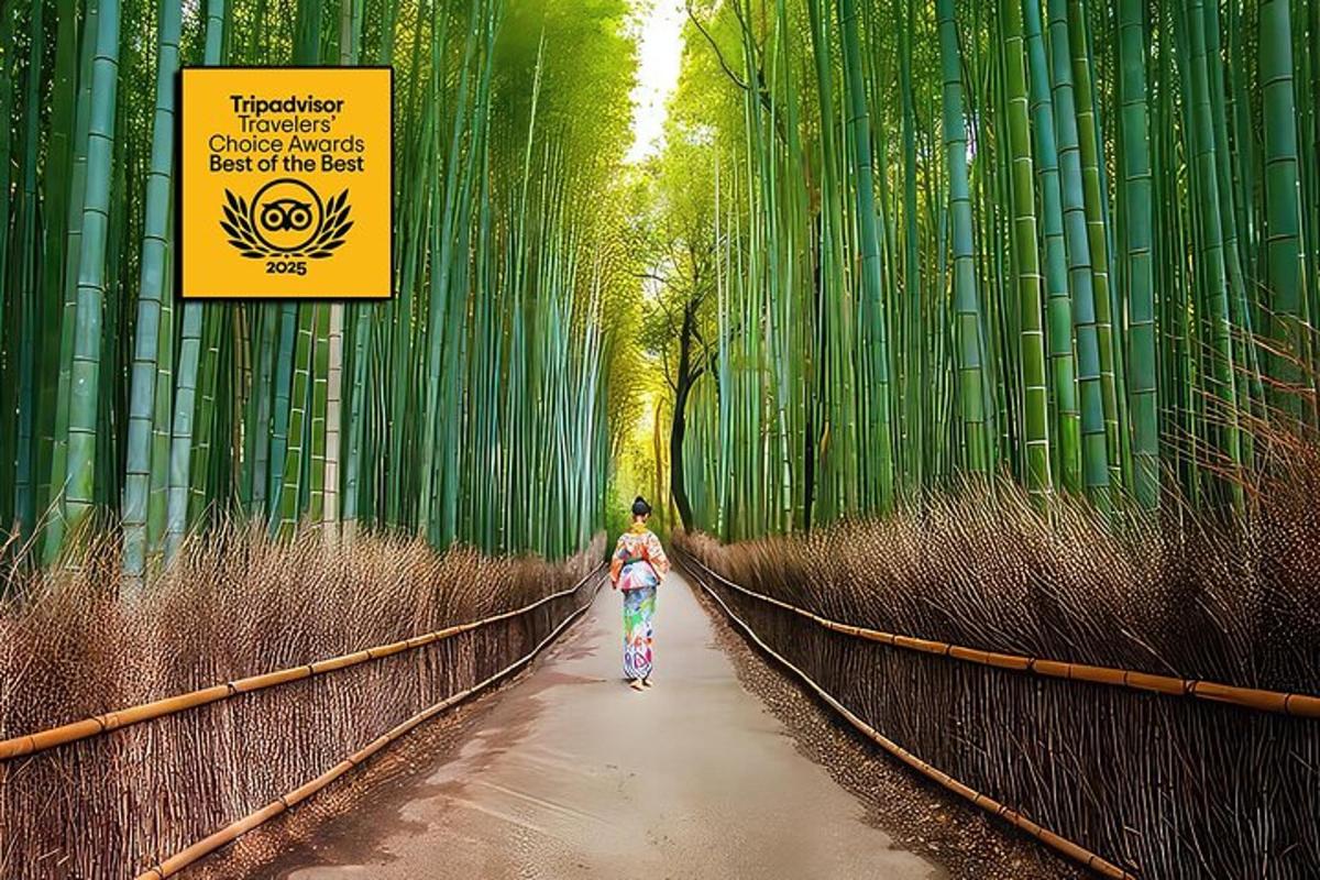 a child walking down a path through a bamboo forest