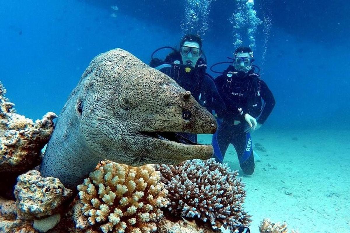 dva muži stojící v oceánu vedle korálového útesu