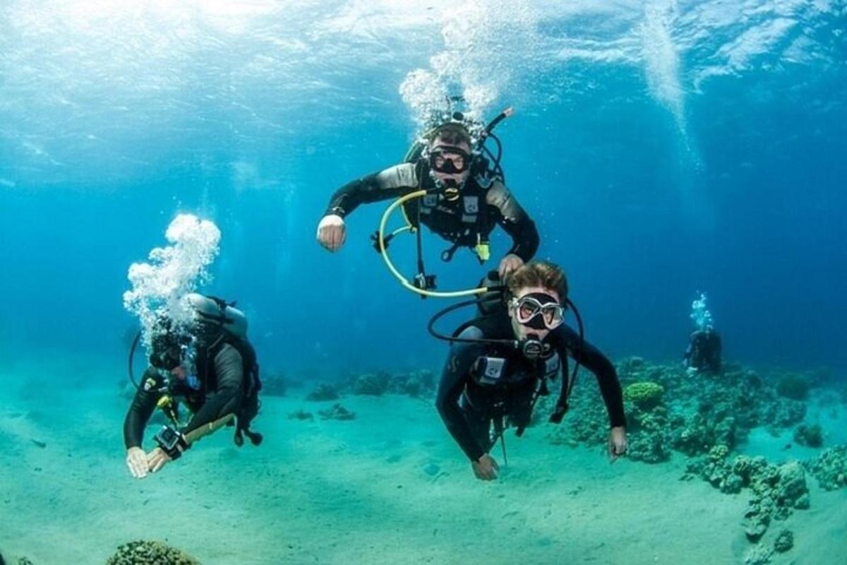 a group of people swimming in the water