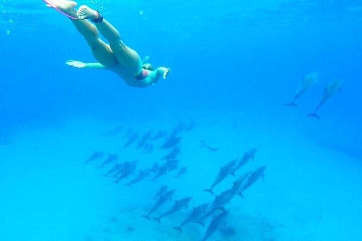 uma mulher nadando na água ao lado de um cardume de peixes