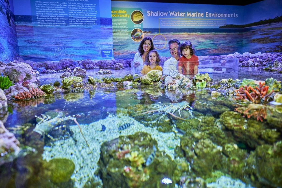 水中水族館にいる3人のグループ